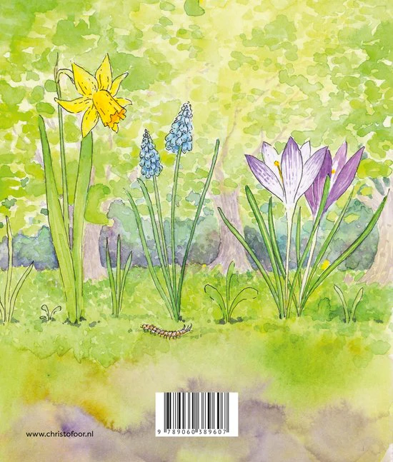 Miniatuur 2