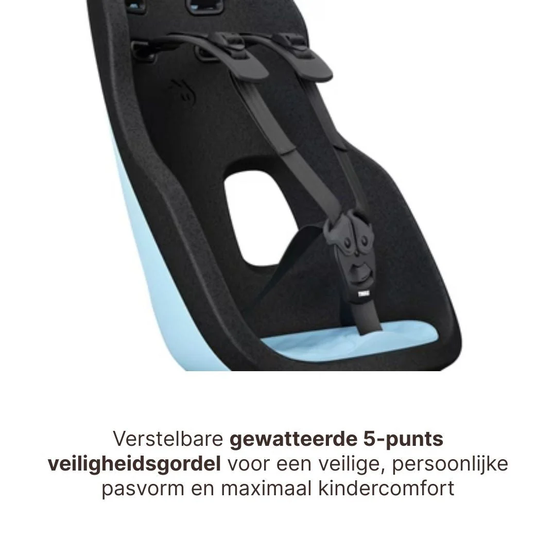 Thule Yepp Nexxt 2 Maxi Fietszitje Fietsstoel Achterop Bagagedrager Montage I Aquamarine - Image 8